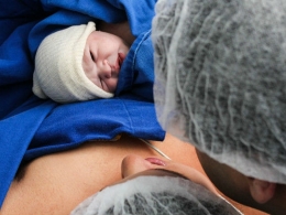 У 2017. у Косовској Митровици рођено 560 беба