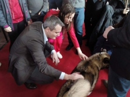 Отворена међународна изложба паса у Бањалуци